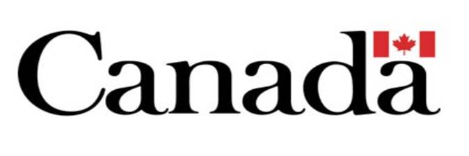 Government of Canada logo showing the red Canadian flag and the word Canada with a small red maple leaf above the letter d. The canada flag - A red and white flag with a red vertical bar on the left, another red vertical bar on the right, and a white square in the center featuring a red maple leaf with eleven points.